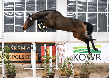 skoki luzem 2025 DSC 9234